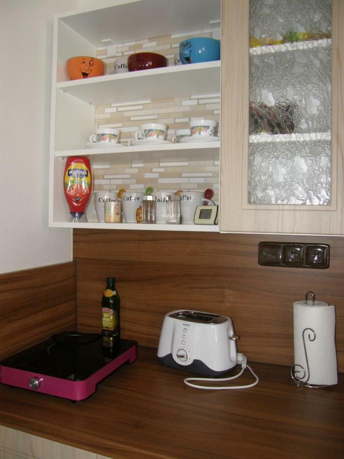 Apartmán Marie Český Krumlov Kültér fotó